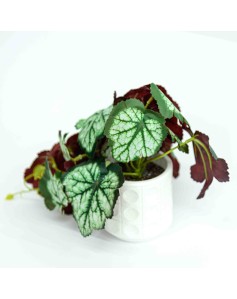 Vazo me lule dekorative