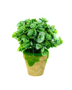 Vazo me lule dekorative