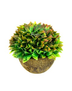 Vazo me lule dekorative