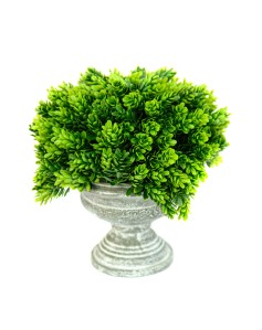 Vazo me lule dekorative