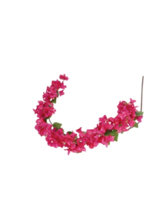 LULE BUGAVILLE 140 CM