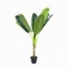 Pemë bananeje në vazo, dekorative,  diam 16cm x h 125cm