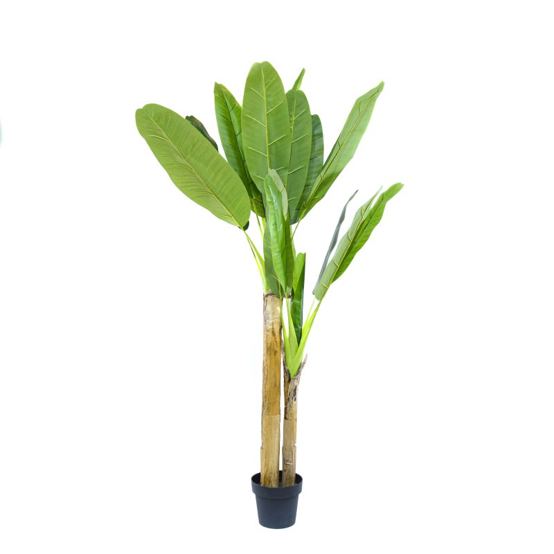 Decorative potted banana tree, h 180cm