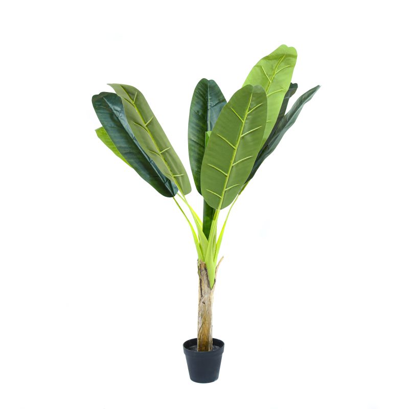 Decorative potted banana tree, diam 16cm x h 125cm